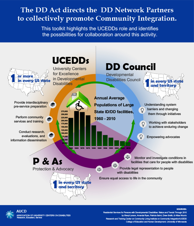 DDNetwork_infographic